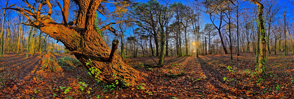 Dieter Kik Panorama Photographer 360cities