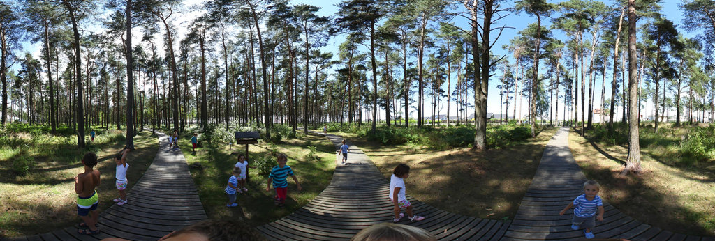Saliena, Mezaparks 360 Panorama | 360Cities